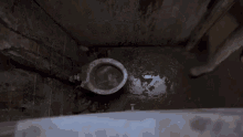 T1 Trainspotting GIF - T1 Trainspotting Worst Toilet In Scotland GIFs