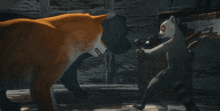 a fox and a lemur are standing next to each other in a dark room