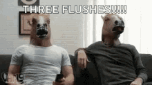Yes Three Flushes GIF - Yes Three Flushes Horse GIFs