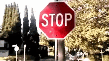 Just Stop The Madness Whoa GIF - Just Stop The Madness Whoa Stop Sign GIFs