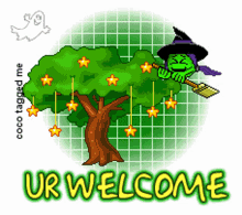 Little Green Witch Witch GIF - Little Green Witch Witch Halloween GIFs