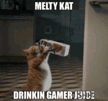 Meltykat Drinking Gamer Juice GIF - Meltykat Melty Drinking Gamer Juice GIFs