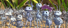 a group of cartoon ants are standing in the dirt and one has a flower on her head