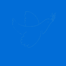 Dove Bird GIF - Dove Bird Hope GIFs