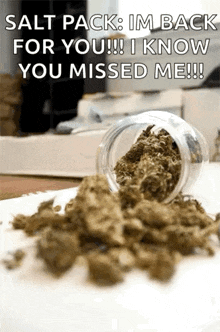 Weed Hipster GIF