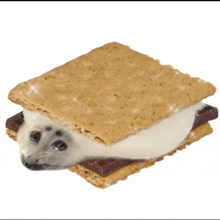 a s'mores sandwich with a seal on it