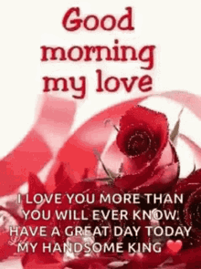 good morning my love sparkle rose i love you more than you will ever know