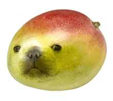 a close up of a mango that looks like a dog