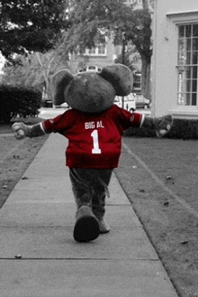 an elephant mascot walking down a sidewalk wearing a red big al 1 jersey