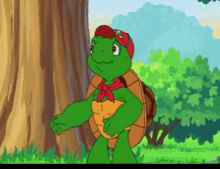 Hands Up Turtle GIF