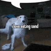 I Love Eating Sand Speech Bubble GIF - I Love Eating Sand Sand Speech Bubble GIFs