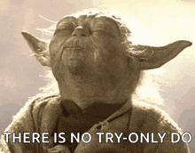 Yoda Pre School GIF