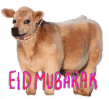Eid Eid Mubarak GIF - Eid Eid Mubarak Eid Ul Adha GIFs