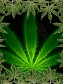 Love Wow GIF - Love Wow Marijuana Leaves GIFs