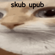 a close up of a cat 's face with the words skub upub written above it