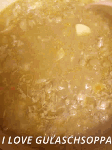 gulaschsoppa soup
