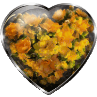 a heart shaped container filled with yellow flowers on a white background