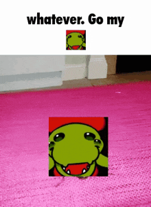 a picture of a frog on a pink rug with the words whatever go my