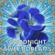 Goodnight Sparkles GIF - Goodnight Sparkles Sweet Dreams GIFs