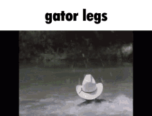 Gator Legs Gator GIF - Gator Legs Gator Legs GIFs