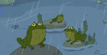 Playing With Frogs Clarence GIF - Playing With Frogs Clarence Dia Lluvioso GIFs