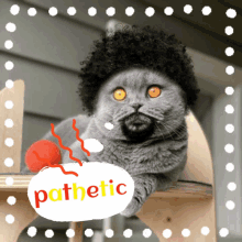 a picture of a cat with a speech bubble that says pathetic on it