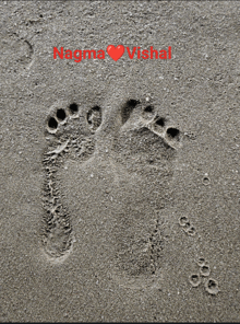 Footprint GIF - Footprint GIFs