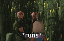 a video game character says " * runs * " in a corn field