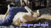 Anhsnguyen Kiss You Good Night GIF - Anhsnguyen Kiss You Good Night Hug Orange Cat GIFs