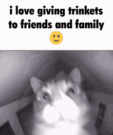 Cat Trinkets GIF - Cat Trinkets I Love Giving Trinkets To Friends And Family GIFs