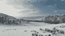 Horizon4 Snow GIF