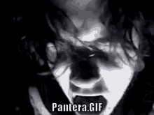 Pantera Panteragif GIF - Pantera Panteragif Philip GIFs