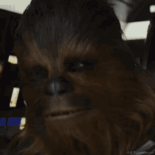 Star Wars Porg GIF - Star Wars Porg Chewbacca GIFs