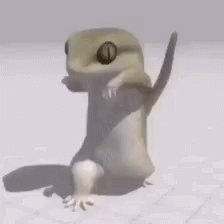 Lizard Dance GIF - Lizard Dance Dancing - Discover & Share GIFs