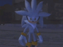 Amy Rose Silver The Hedgehog GIF - Amy Rose Silver The Hedgehog Silver GIFs