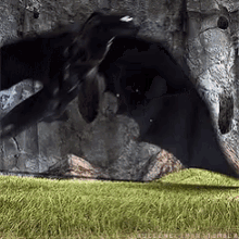 Toothless GIF - Toothless GIFs