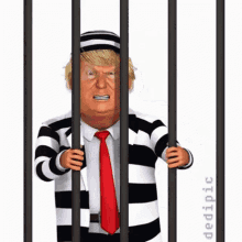 Jailed Trump GIF - Jailed Trump GIFs