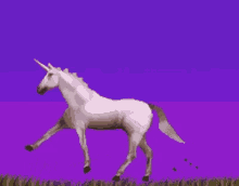 Unicorn Fail GIF