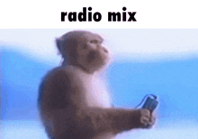 Saraiva Rádio Mix GIF
