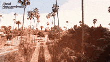a picture of palm trees with the words real housewives out of context below it