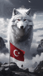 a white wolf with red eyes is standing next to a flag with a crescent moon and star