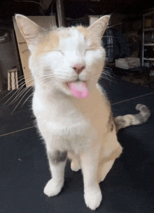Blehh Silly GIF - Blehh Silly Miau GIFs