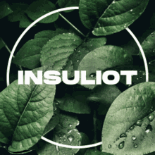 Insuliot Leaves GIF - Insuliot Leaves GIFs