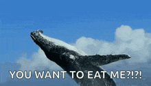 a humpback whale is jumping out of the water with the words you want to eat me