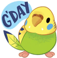 G Day Australia Sticker - G Day Australia Bird Stickers