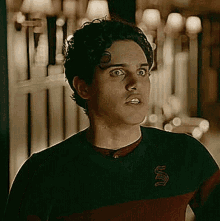 a young man with curly hair is wearing a black and red striped sweater .