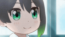 a close up of a girl with green eyes and black hair