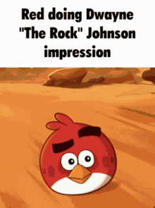 The Rock Raise Eyebrow GIF - The Rock Raise Eyebrow Angry Birds GIFs
