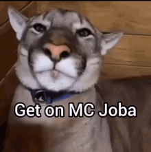 Jo Joba GIF - Jo Joba Minecraft GIFs