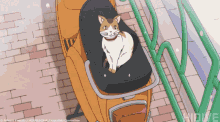 Anime Cat GIF - Anime Cat Panic GIFs